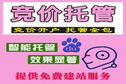 SEM外包助力企业业绩增长案例